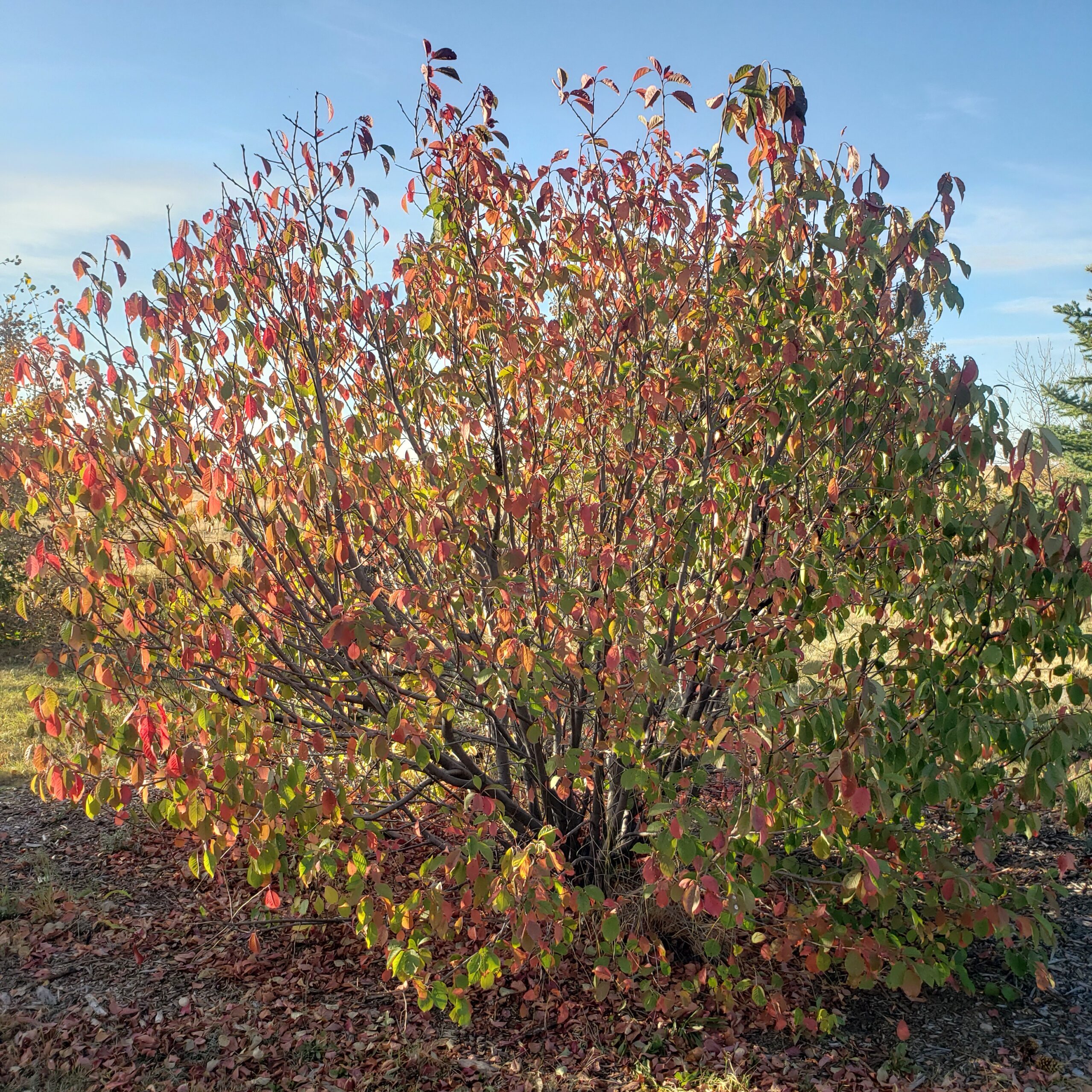 Consulting isn't accessible for many people. That's why I make my Community Mentorship content freely accessible. Access my YouTube channel or free guidebook today.