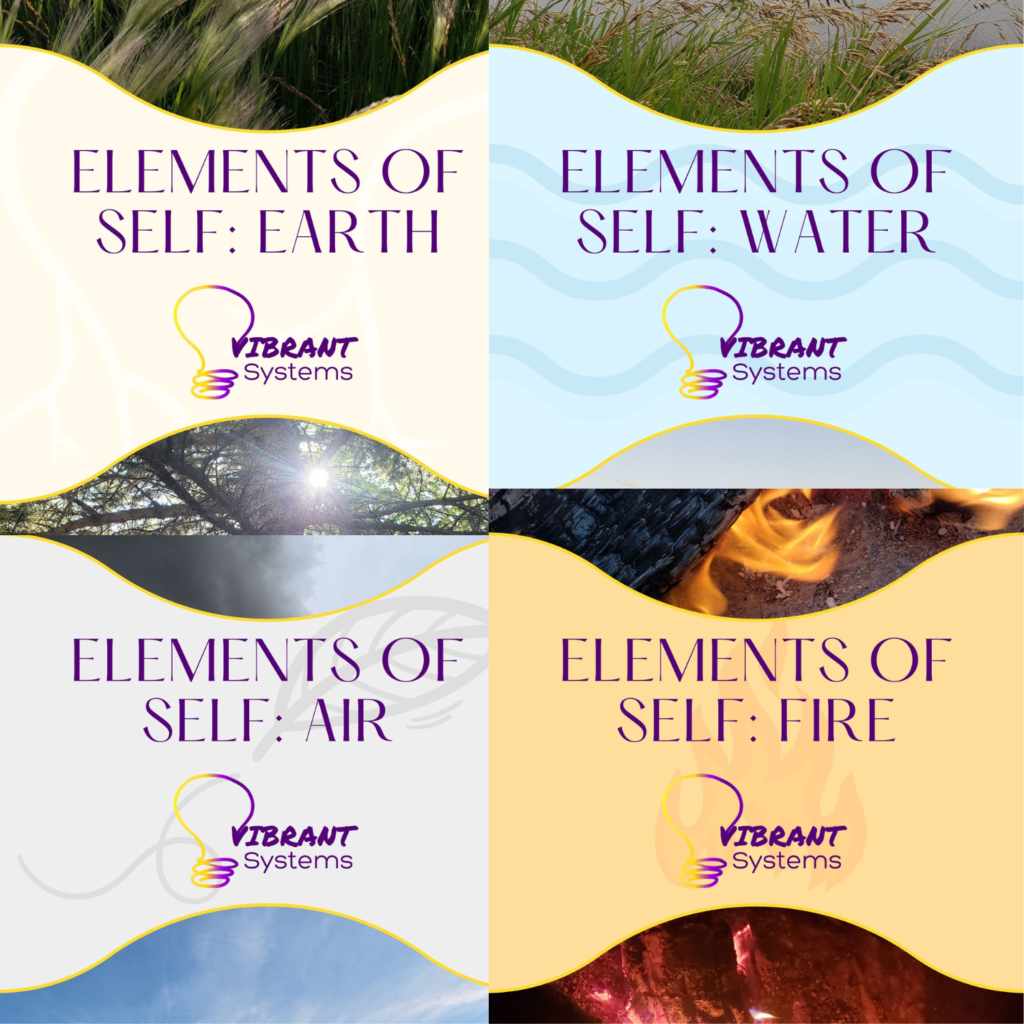 The image shows the covers of four the core modules included in the Elements of Self video course.