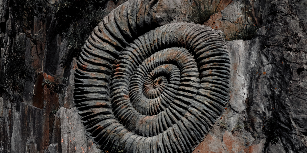 Personal, professional, and spiritual growth move through a spiral cycle, wherein we revisit lessons with a new perspective each turn. 