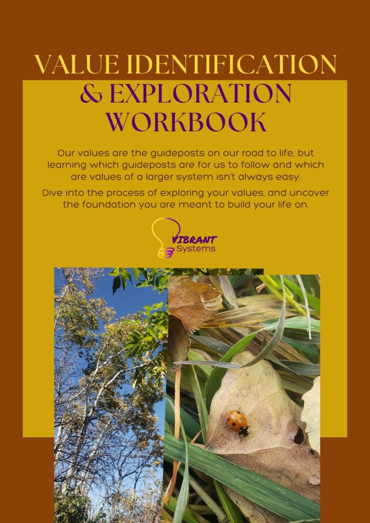 The Value Identification & Exploration Workbook uses the power of narrative to explore your unique values