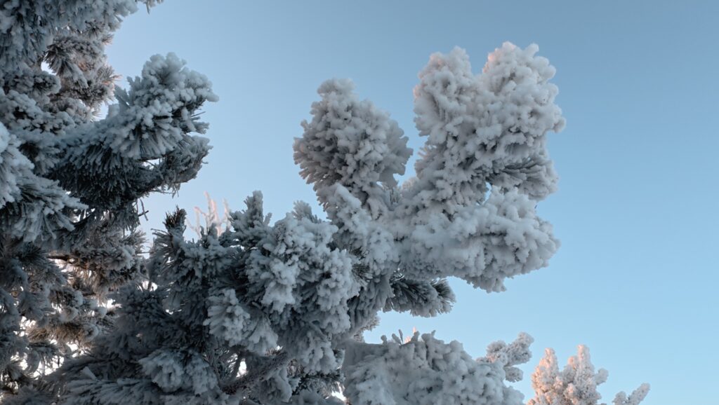 When the world sleeps in winter, it reminds us to return to the dreaming period within ourselves.