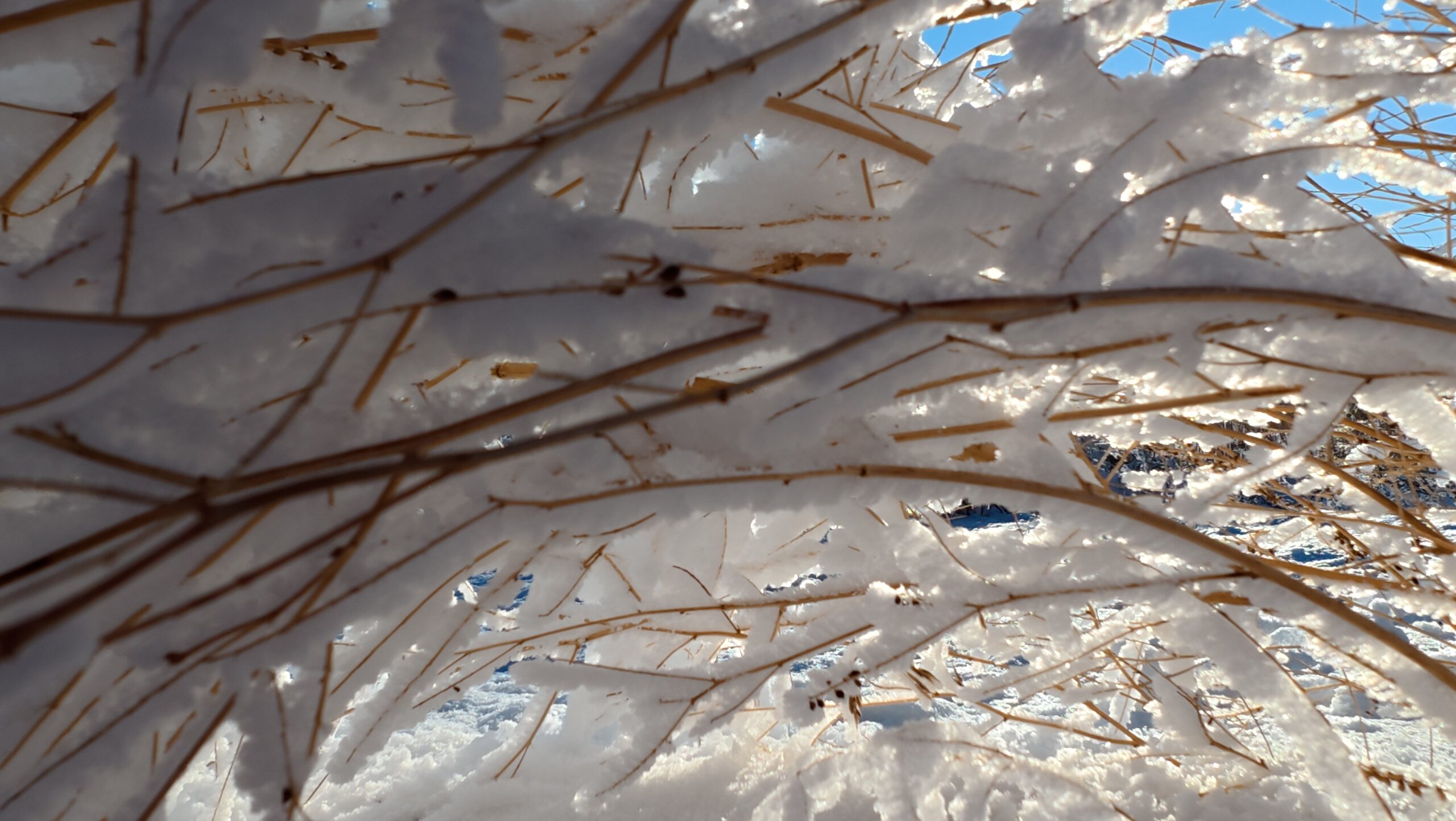 We can all use self-care tips to help guide us through the dark of winter.