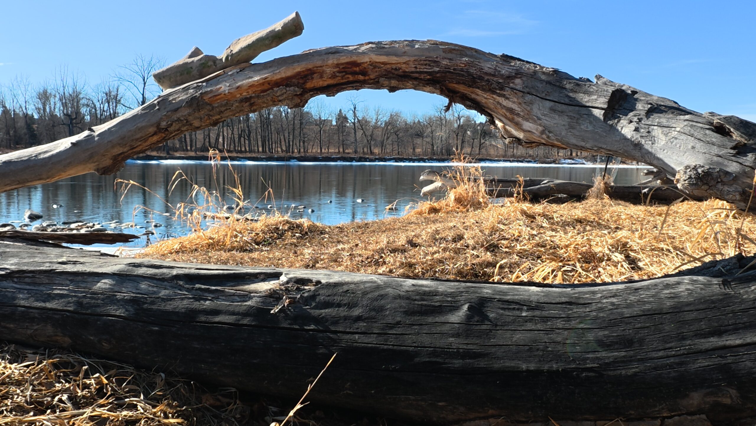 A new kind of community-building becomes possible when we are willing to see our relationships as reflections of a wider ecosystem