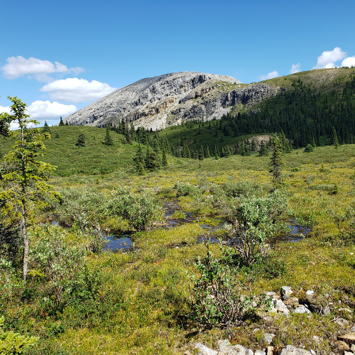 Ecosystems are a wonderful examples of thriving connected communities, when we realize humans are not separate from nature.